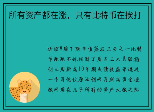 所有资产都在涨，只有比特币在挨打